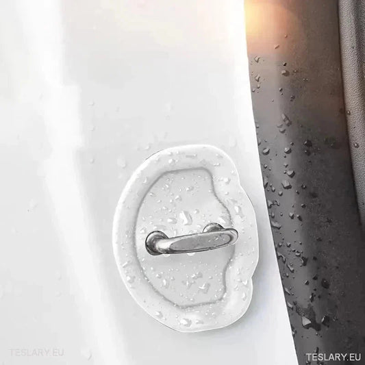 Accesorii Tesla pentru Personalizare și Protecție Excepțională