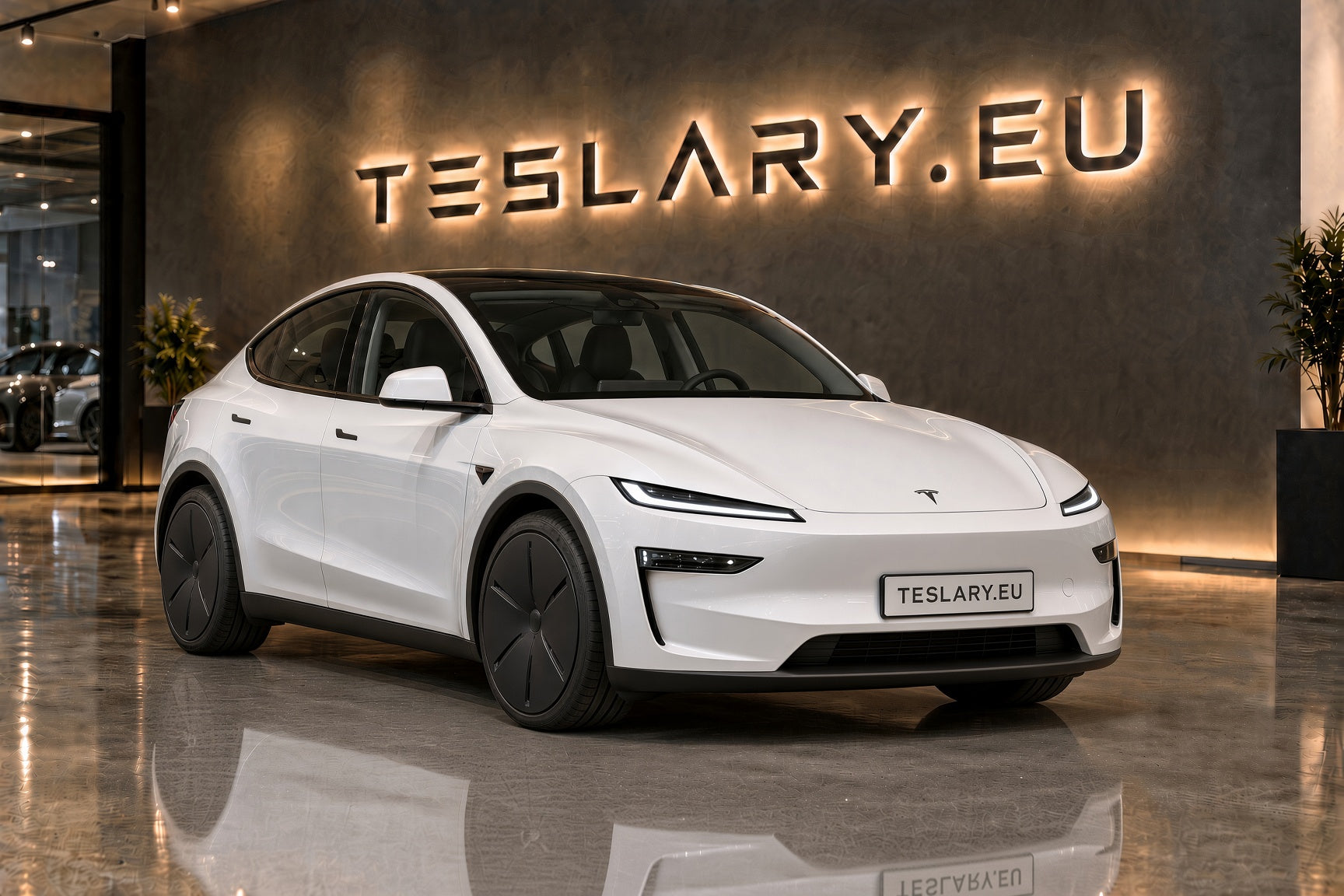 TESLA MODEL Y+ JUNIPER STANDARD EDITION 2025+ - TESLARY Tesla Shop ...