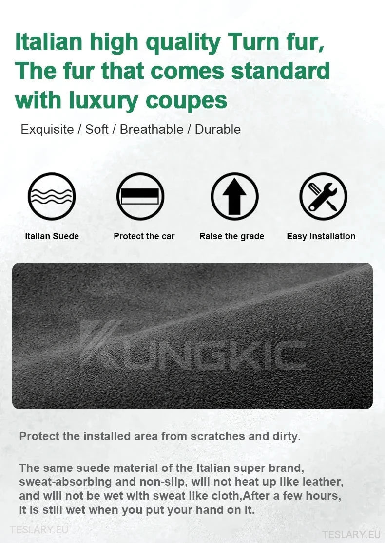 Dome / Map Light Cover for Tesla 3 Highland - TESLARY Tesla Shop Accessories Europe Nederlands Ireland Deutschland Espana Alicante France Italia