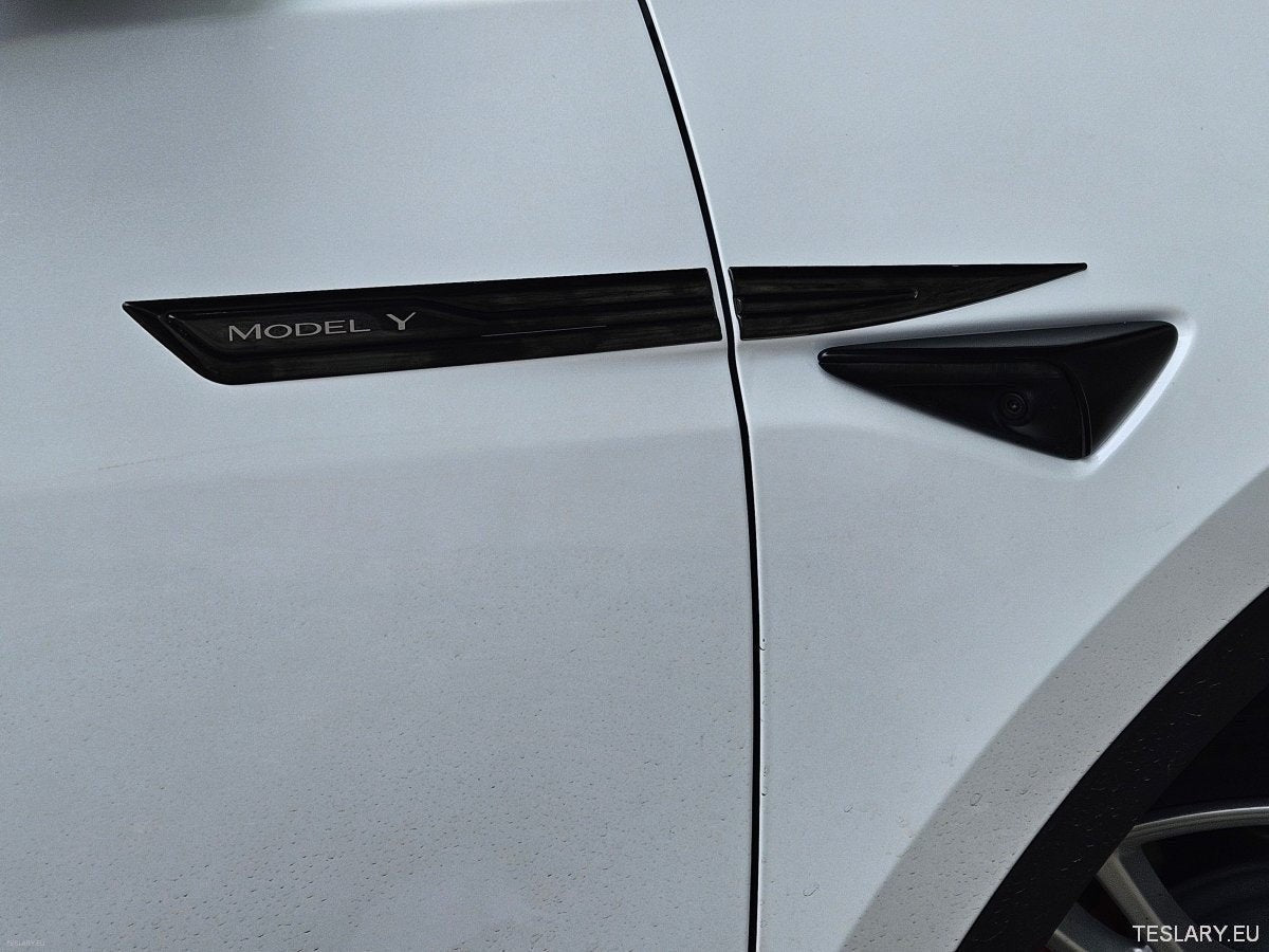 Premium Logo Decal Metal Door & Wing Stickers for Tesla 3 , Y & X - TESLARY Tesla Shop Accessories Europe Nederlands Dublin Cork Ireland Deutschland Espana Alicante France Italia