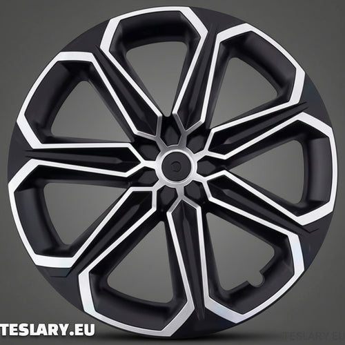 TESLA MODEL Y 19" UNIQUE S14 FULL COVER WHEEL HUBS BLACK & SILVER - TESLARY Tesla Shop Accessories Europe Nederlands Dublin Cork Ireland Deutschland Espana Alicante France Italia